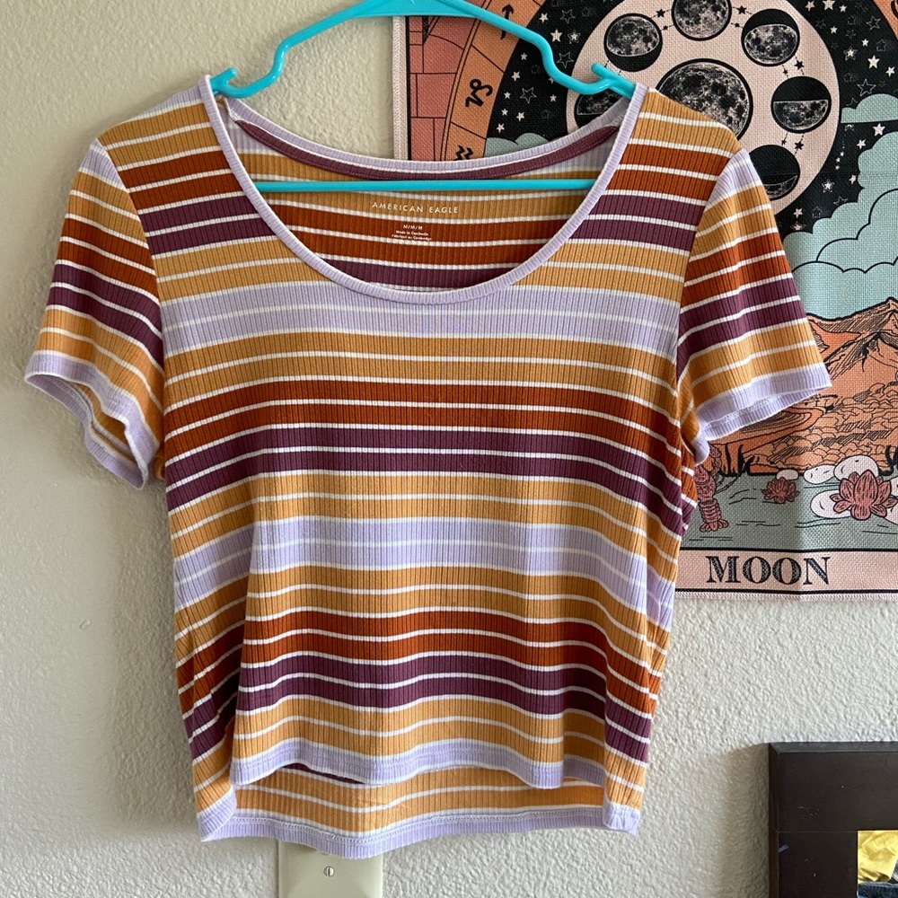 American Eagle Striped Cropped Top